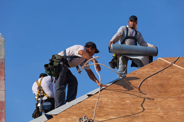 Best Roof Repair Services  in Monroeville, OH